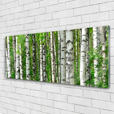 Glass Wall Art Forest nature black white green