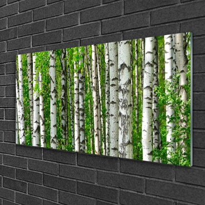 Glass Wall Art Forest nature black white green