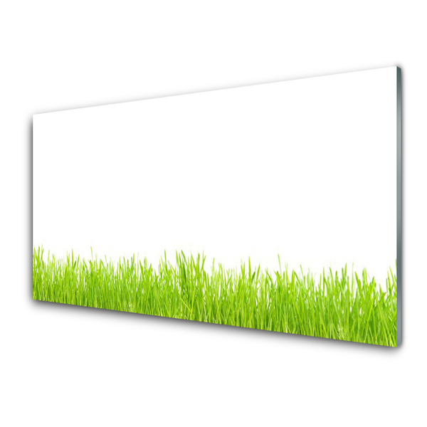 Glass Wall Art Grass nature green