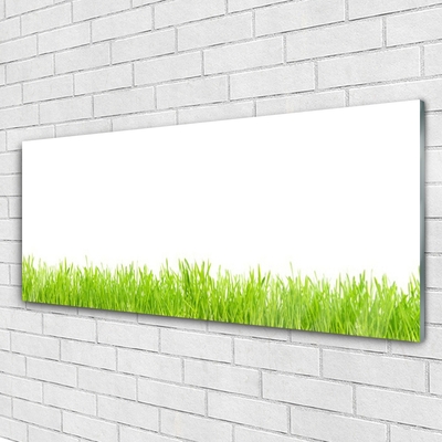 Glass Wall Art Grass nature green