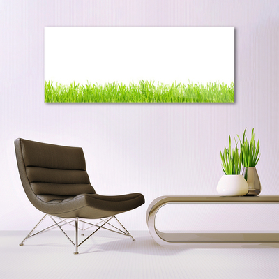 Glass Wall Art Grass nature green