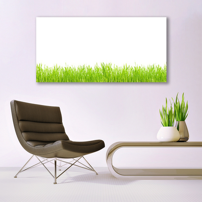 Glass Wall Art Grass nature green