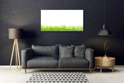 Glass Wall Art Grass nature green