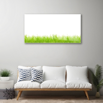 Glass Wall Art Grass nature green