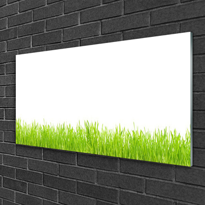 Glass Wall Art Grass nature green