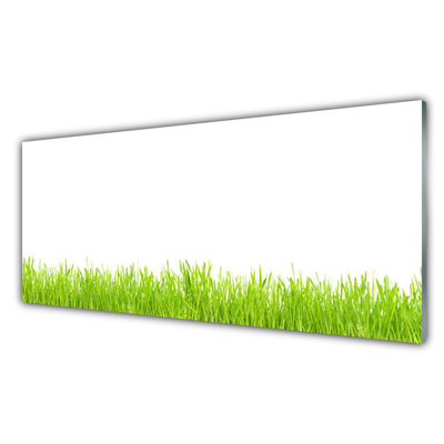 Glass Wall Art Grass nature green