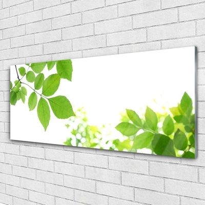 Glass Wall Art Petals floral white green