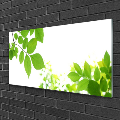 Glass Wall Art Petals floral white green