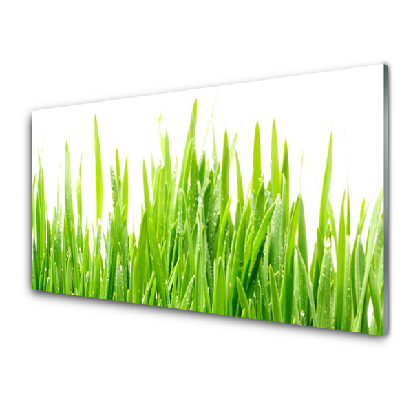 Glass Wall Art Grass nature green