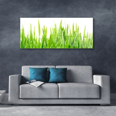 Glass Wall Art Grass nature green