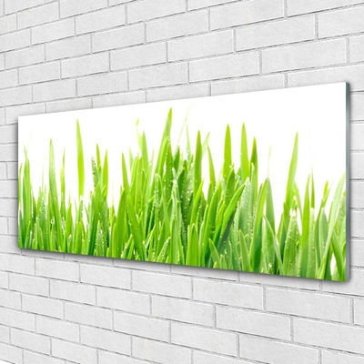 Glass Wall Art Grass nature green