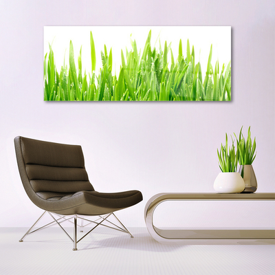 Glass Wall Art Grass nature green