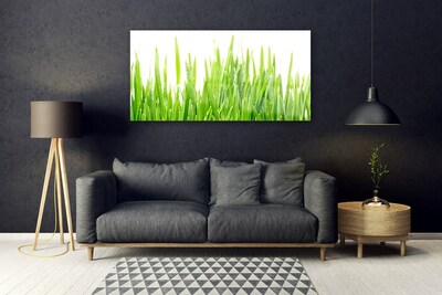 Glass Wall Art Grass nature green