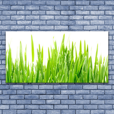 Glass Wall Art Grass nature green