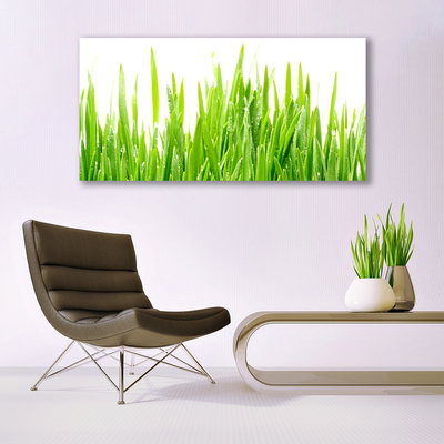 Glass Wall Art Grass nature green