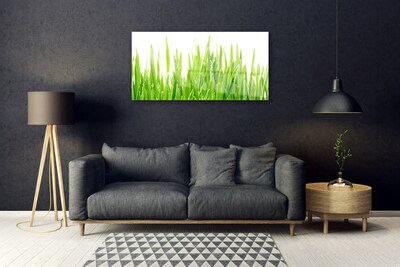 Glass Wall Art Grass nature green