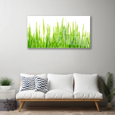 Glass Wall Art Grass nature green