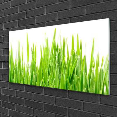 Glass Wall Art Grass nature green