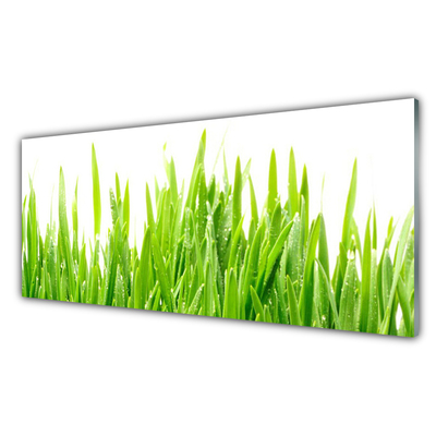 Glass Wall Art Grass nature green