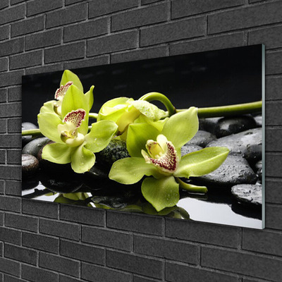 Glass Wall Art Flower stones floral green black