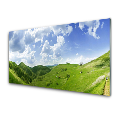 Glass Wall Art Mountain meadow nature green