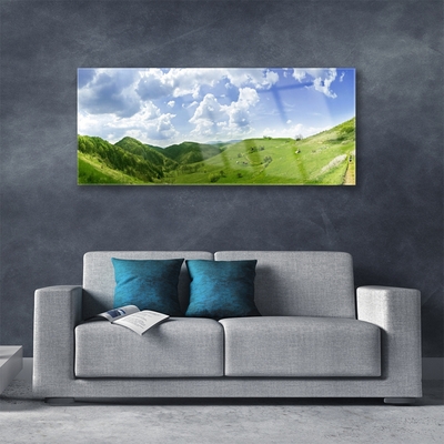 Glass Wall Art Mountain meadow nature green