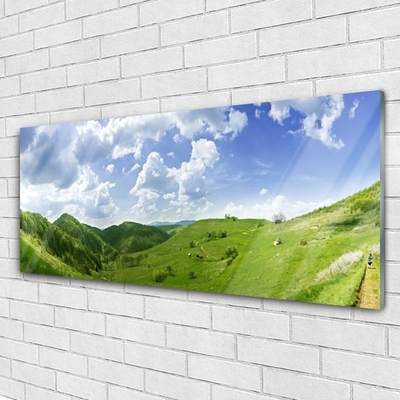 Glass Wall Art Mountain meadow nature green