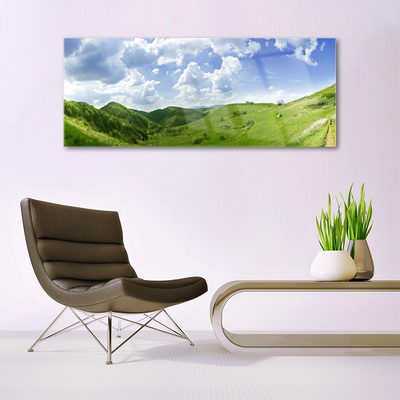 Glass Wall Art Mountain meadow nature green