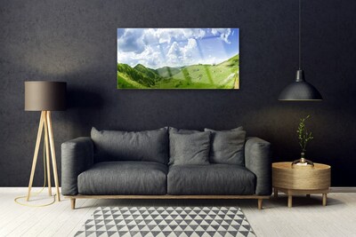 Glass Wall Art Mountain meadow nature green