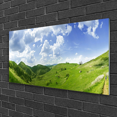 Glass Wall Art Mountain meadow nature green