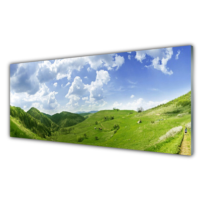 Glass Wall Art Mountain meadow nature green