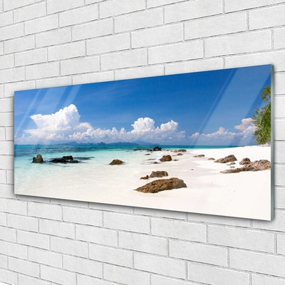 Glass Wall Art Beach stones landscape white grey