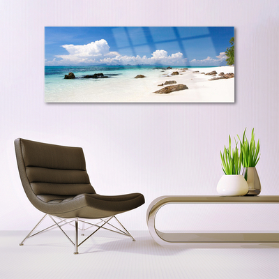 Glass Wall Art Beach stones landscape white grey