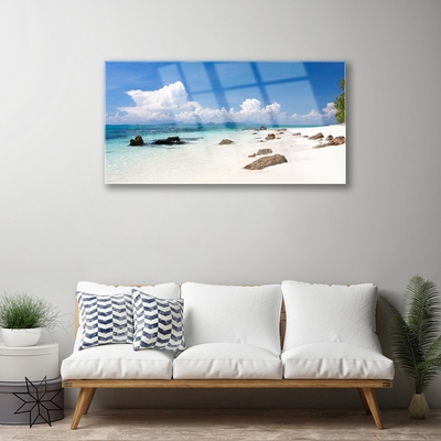 Glass Wall Art Beach stones landscape white grey