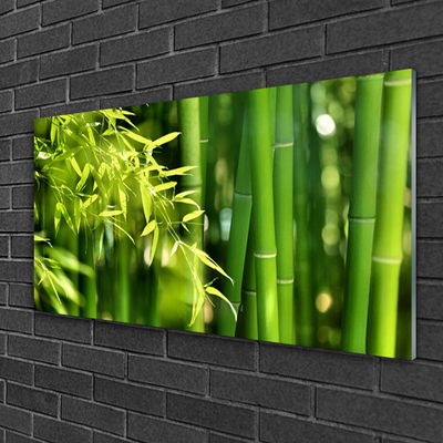 Glass Wall Art Bamboo leaves floral green