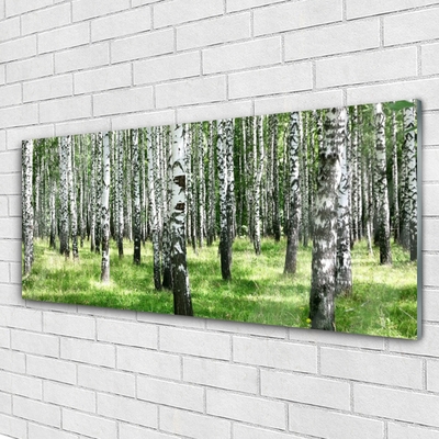 Glass Wall Art Forest nature black white green