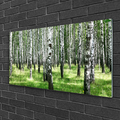 Glass Wall Art Forest nature black white green