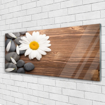 Glass Wall Art Daisy stones floral yellow white grey