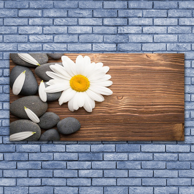 Glass Wall Art Daisy stones floral yellow white grey