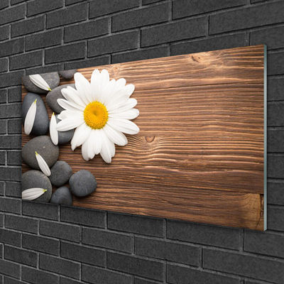 Glass Wall Art Daisy stones floral yellow white grey