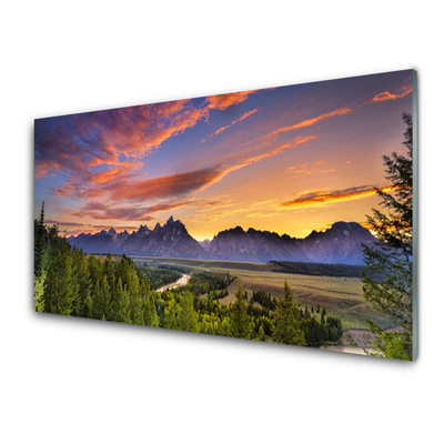 Glass Wall Art Mountain forest nature grey green