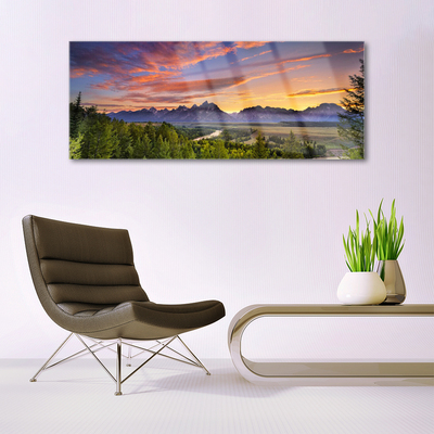 Glass Wall Art Mountain forest nature grey green