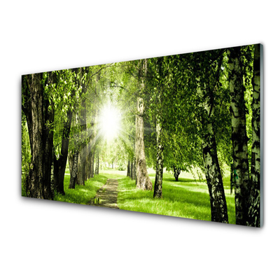 Glass Wall Art Forest sun footpath nature brown green yellow