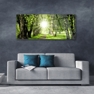 Glass Wall Art Forest sun footpath nature brown green yellow