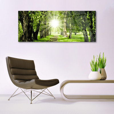 Glass Wall Art Forest sun footpath nature brown green yellow