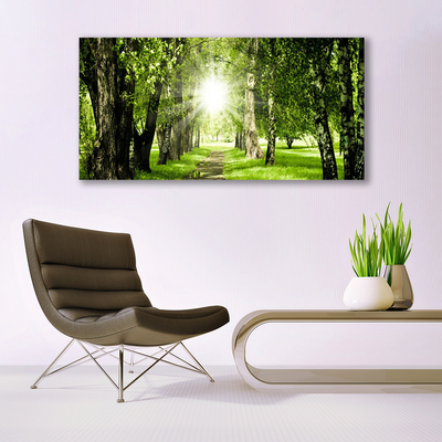 Glass Wall Art Forest sun footpath nature brown green yellow