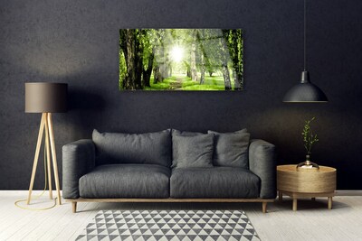 Glass Wall Art Forest sun footpath nature brown green yellow