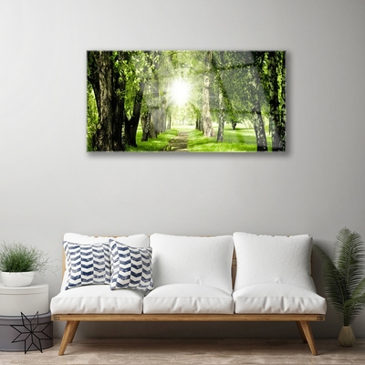 Glass Wall Art Forest sun footpath nature brown green yellow