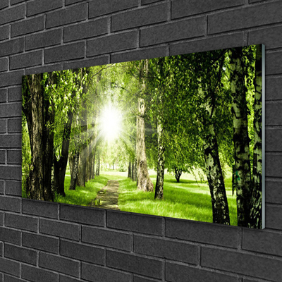 Glass Wall Art Forest sun footpath nature brown green yellow