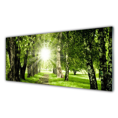 Glass Wall Art Forest sun footpath nature brown green yellow